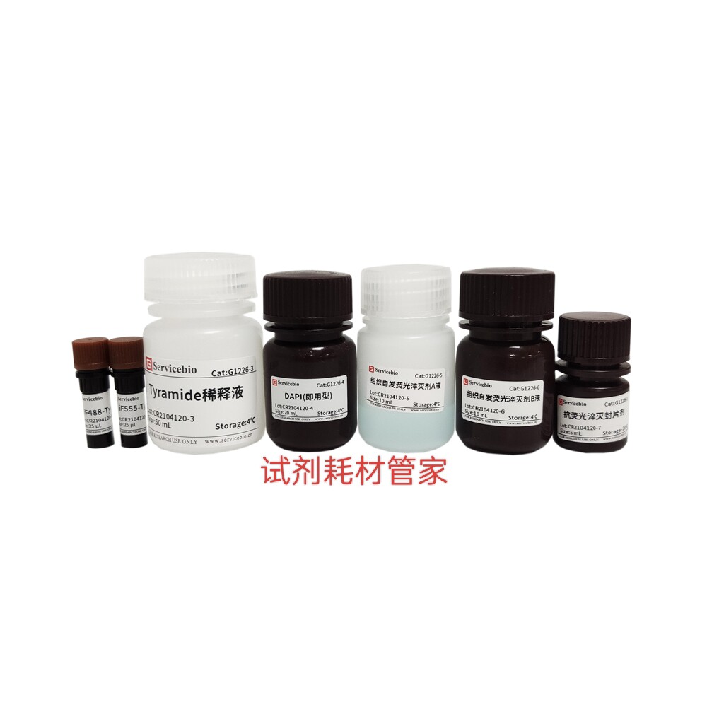 TSA PLus荧光双标三色染色试剂盒 绿光iF488+红光iF555/红光iF594