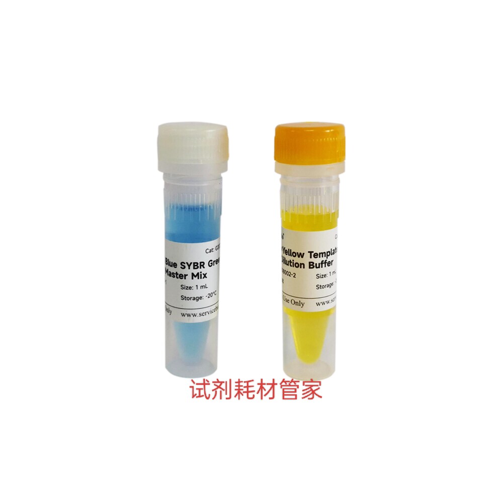 通用型彩色示踪染料法SYBR Green qPCR预混液(2&times;)基因表达量分析