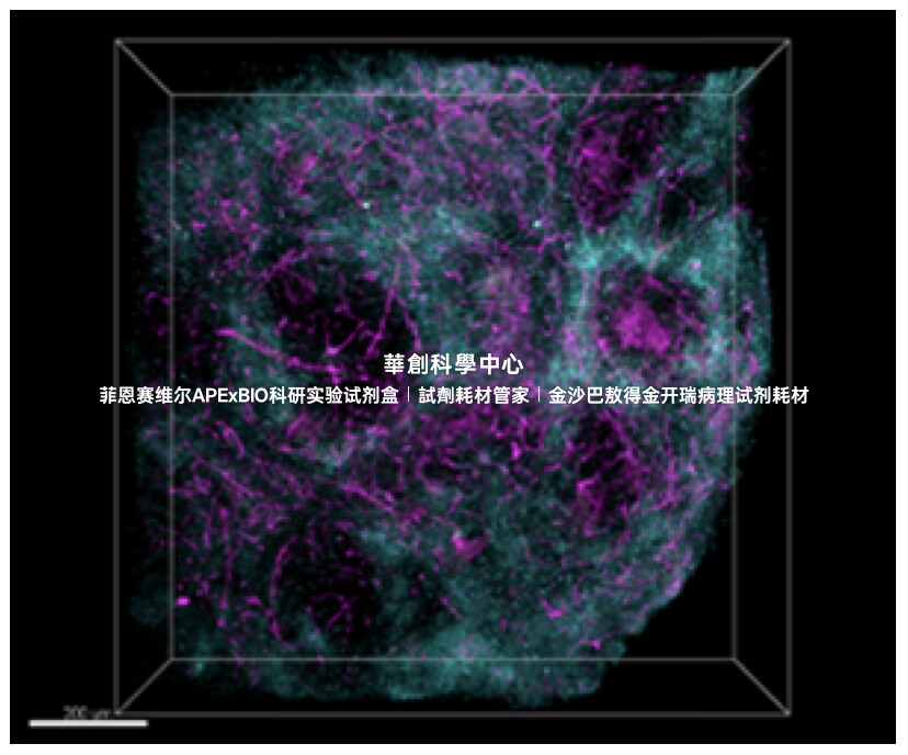 BioLegend Ce3D?抗体稀释缓冲液Ab Diluent Buffer427707/427708