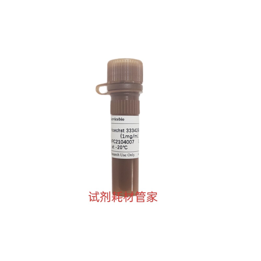 Hoechst 33342染色液(1mg/mL)对细胞核内DNA染色的蓝色荧光染料