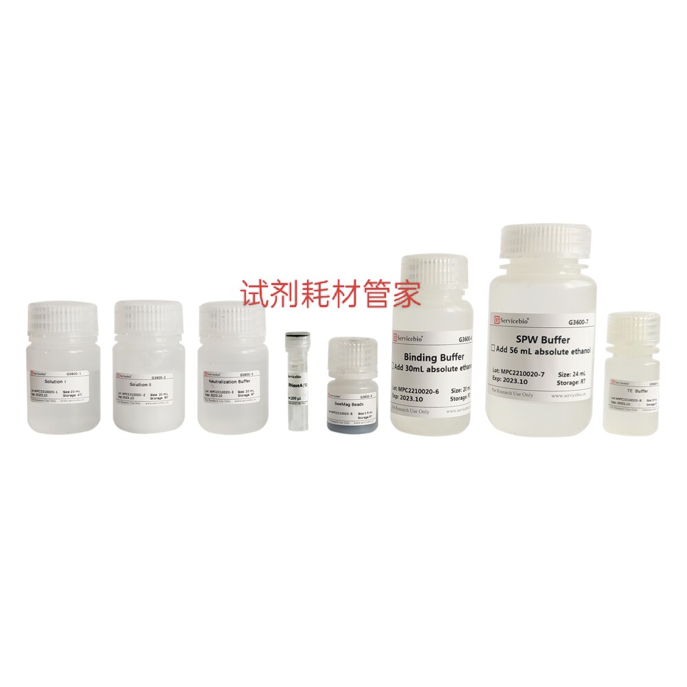 磁珠法质粒DNA小量提取试剂盒 从1&ndash;5mL菌液中提取高纯度质粒DNA