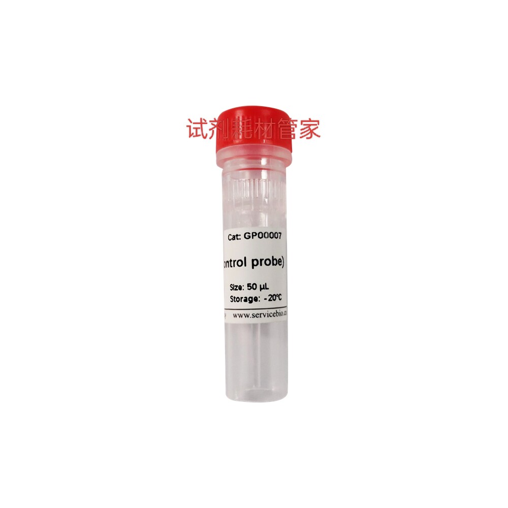 RNASweAMI小鼠阳性对照探针Mm-Rnu6,PositiveControlProbeMm-Rnu6