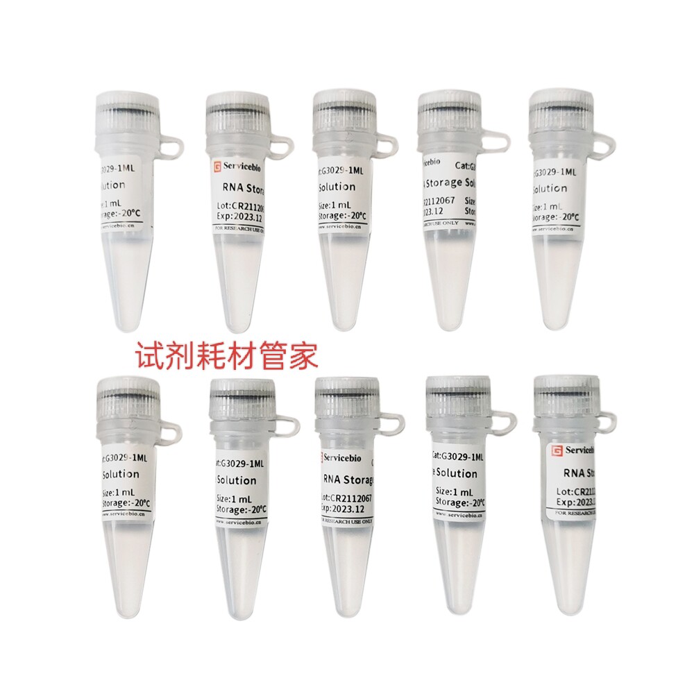 RNA溶解液(普通型)溶解/洗脱RNA沉淀 淘汰TE/纯水溶解减少RNA水解