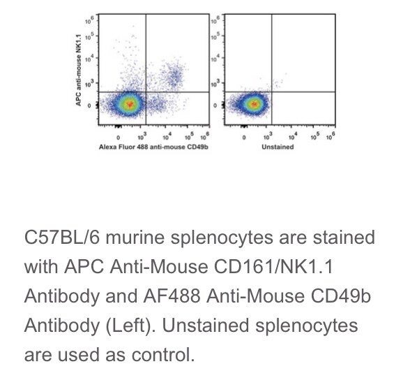 Elabscience?流式抗体C57BL/6鼠属NK细胞APC抗鼠CD161/NK1.1抗体