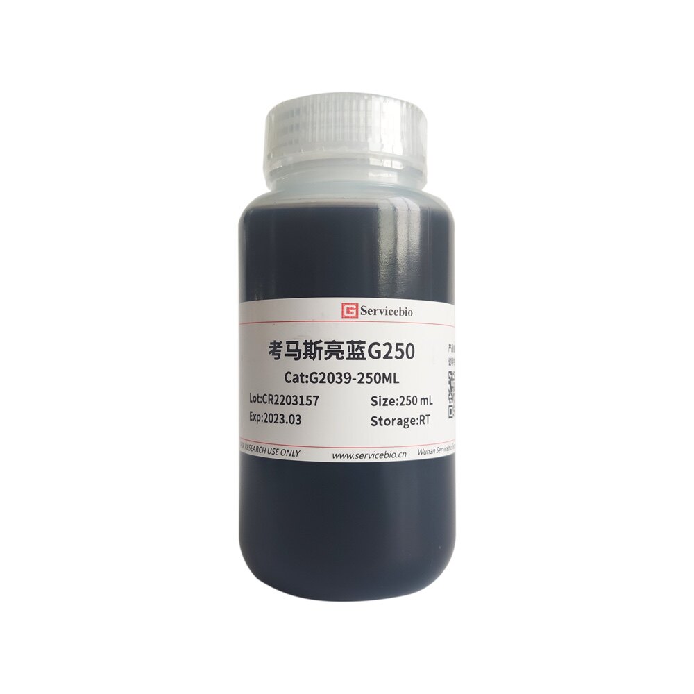 Servicebio考马斯亮蓝G250 与蛋白质快速结合 用于蛋白质定量检测