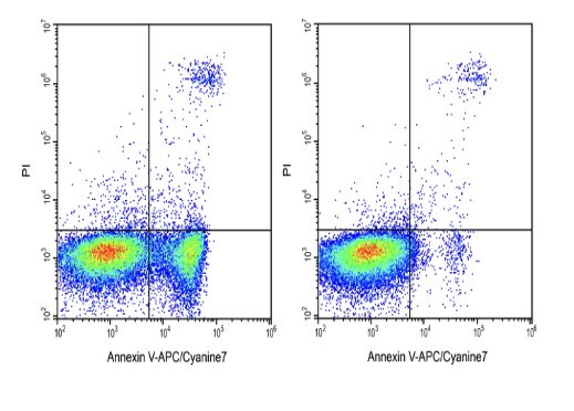 Elabscience?Annexin V-APC/Cyanine7染色液 E-CK-A129 荧光标记