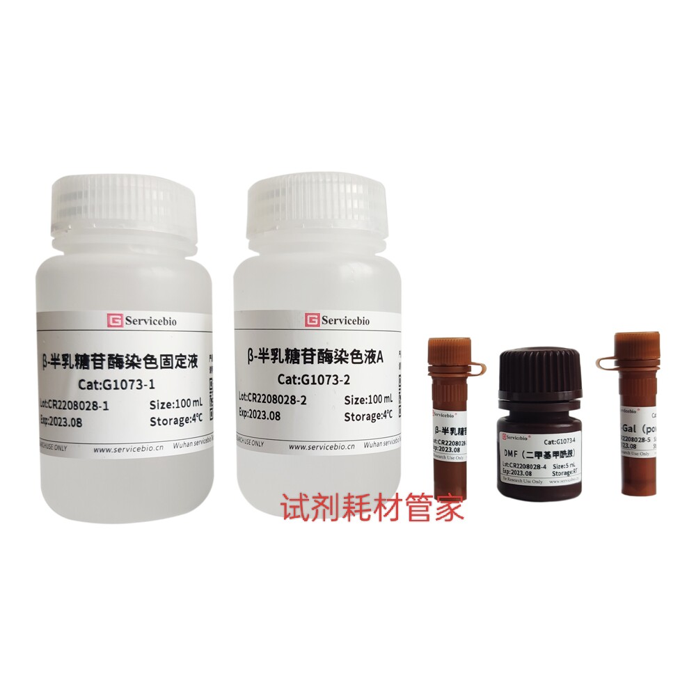 衰老细胞&beta;-半乳糖苷酶染色试剂盒 对衰老组织或细胞进行染色热卖