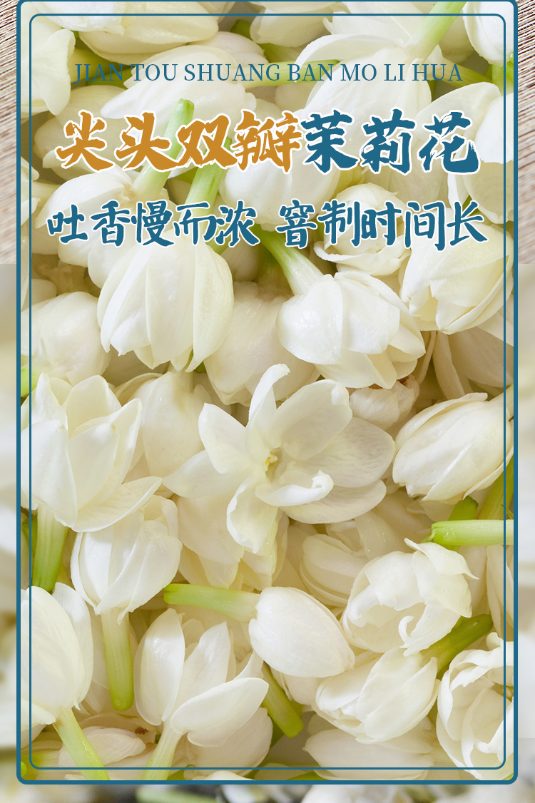 江西老字号 春蕾 茉莉花茶 250g 图4