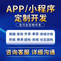 Mini program custom development