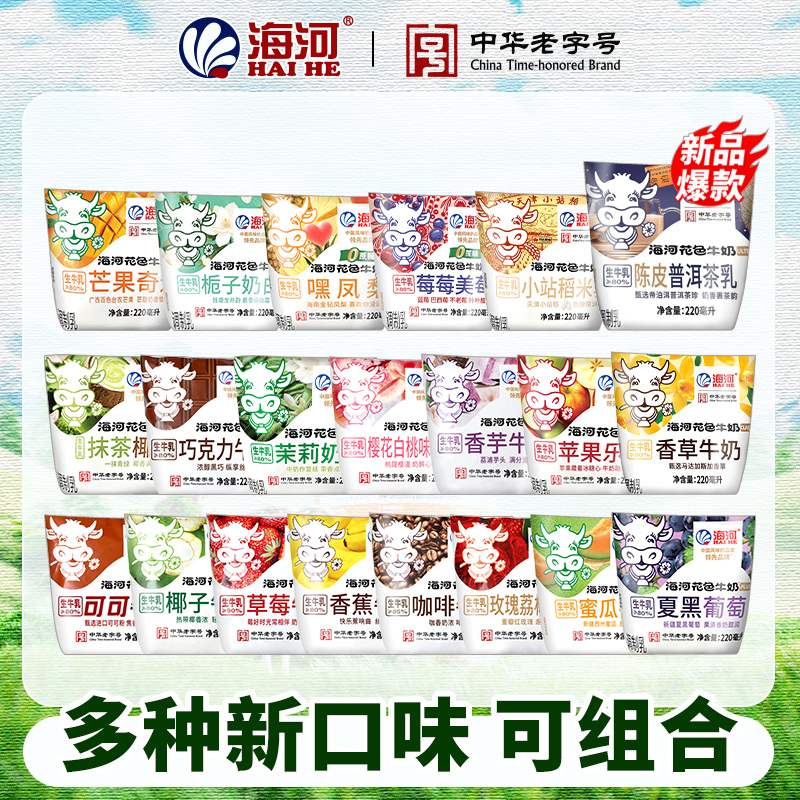 Tianjin Haihe Milk Cocoa Chocolate Coffee Coconut Milk Flavor Mixed Milk for Children and Students Nutritional Breakfast Milk