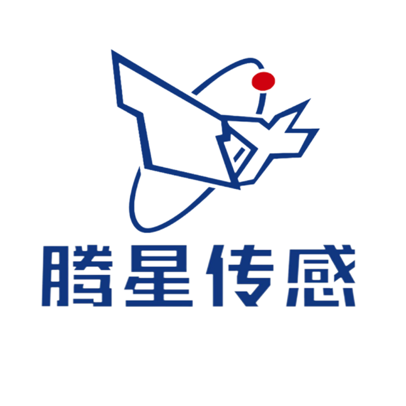 腾星传感企业店