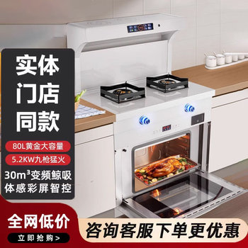 White Martian Yashang Time-Saving Integrated Stove, All-In-One Stove for Home Use, Steam Oven, Disinfection Cabinet, Creamy Atmosphere Kitchen
