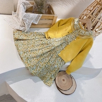 Childrens clothes Childrens Spring and Autumn Kit Girls Kinden Kit Knitted Sweater Retro Snow Dress Two Pieces