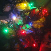 Wishing bottle color light string LED button battery 1 meter 20 lights Colorful waterproof Valentines Day decoration color copper wire lights