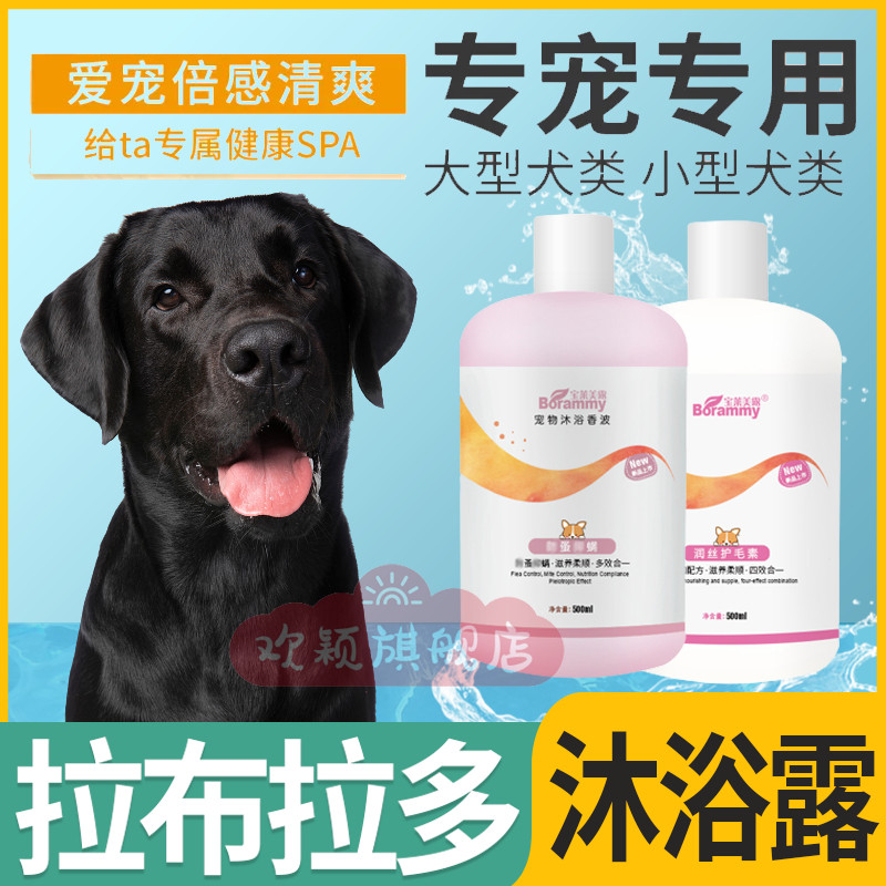 Labrador special bath with the tattoo of the shampoo dog bath and shower detained with deodoring deodoring permanent aroma hair