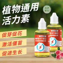 Plant Vitality Vegetarian Flowers Green Plant Universal Concentrated Nutrient Solution Fertilizer Multimeat Potted Plant Pro-growth Root Liquid Water