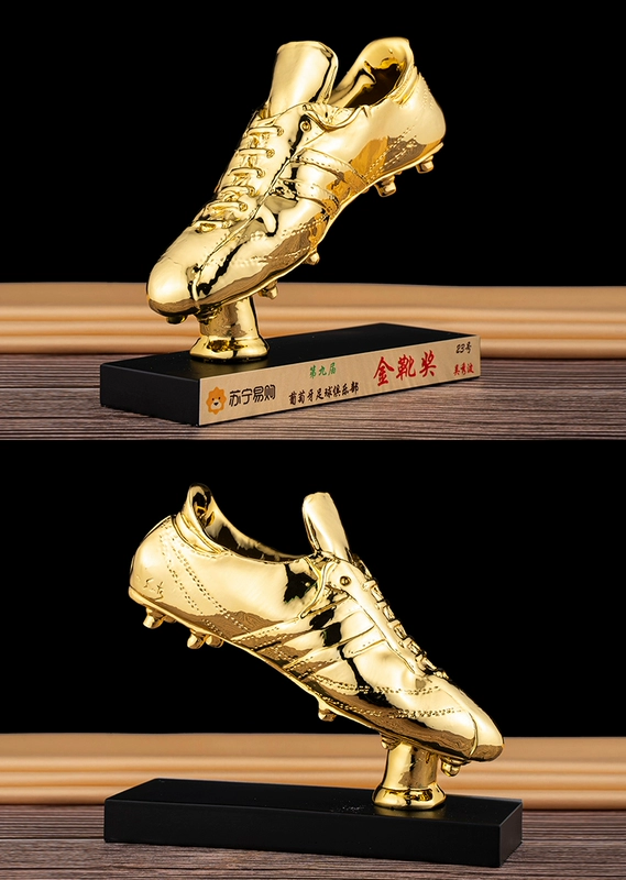 Cúp bóng đá Giải thưởng Chiếc giày vàng Trò chơi học đường Giải thưởng Quả bóng vàng Thủ môn xuất sắc nhất Giải thưởng Cầu thủ ghi bàn găng tay vàng Giải thưởng tùy chỉnh