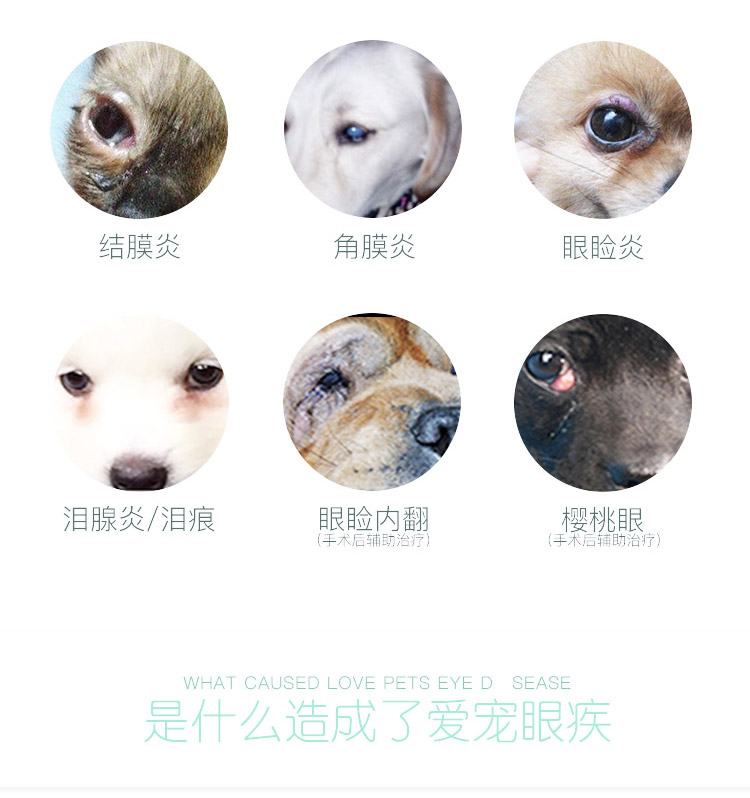 Pet mắt nhỏ giọt nước mắt loại bỏ thuốc nhỏ mắt kháng khuẩn kháng viêm nước mắt nhân tạo thuốc chống viêm mắt - Thuốc nhỏ mắt thuốc refresh
