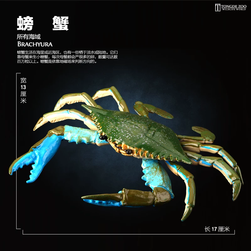Детская игрушка Marine, реалистичная морская жизнь, моделирование для детей, синий краб, краб-царевич