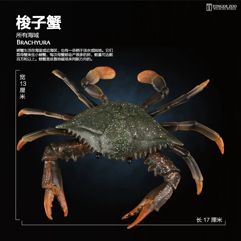 Детская игрушка Marine, реалистичная морская жизнь, моделирование для детей, синий краб, краб-царевич