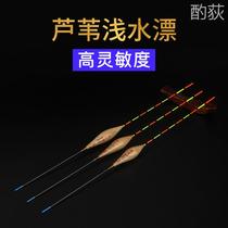 Reed shallow water float high sensitivity small short float bold and eye-catching wild fishing crucian carp bleached strip water fur hole ice fishing float