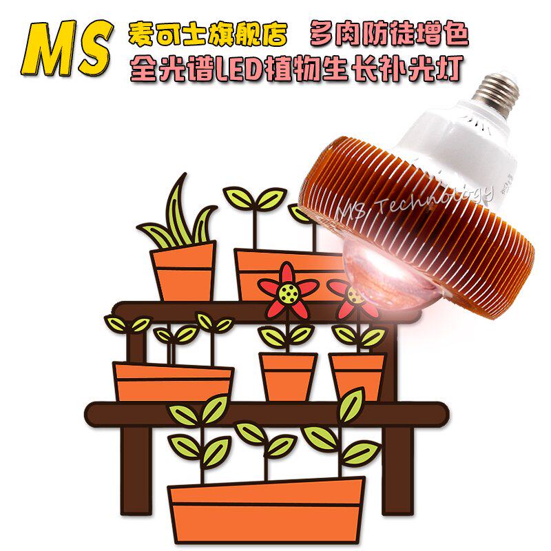ms���ʿȫ����ledֲ��������MS-Par