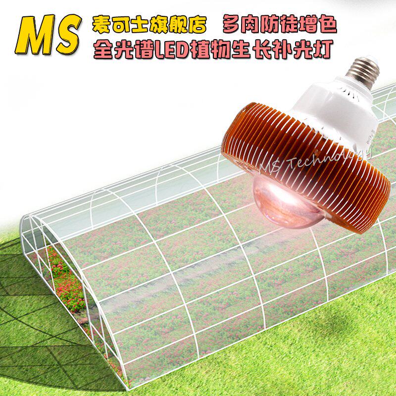 ms���ʿȫ����ledֲ��������MS-Par