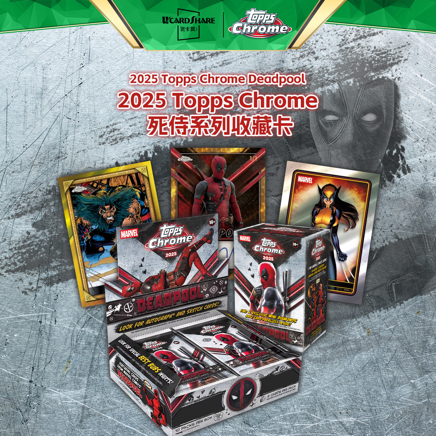 2025 Topps Chrome Hobby Marvel Deadpool Series コレクタブルカード、Eukanuba Sports Cards
