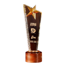 Crystal trophy custom luminous high-end solid wood creative night light custom company annual meeting award plate retirement souvenir