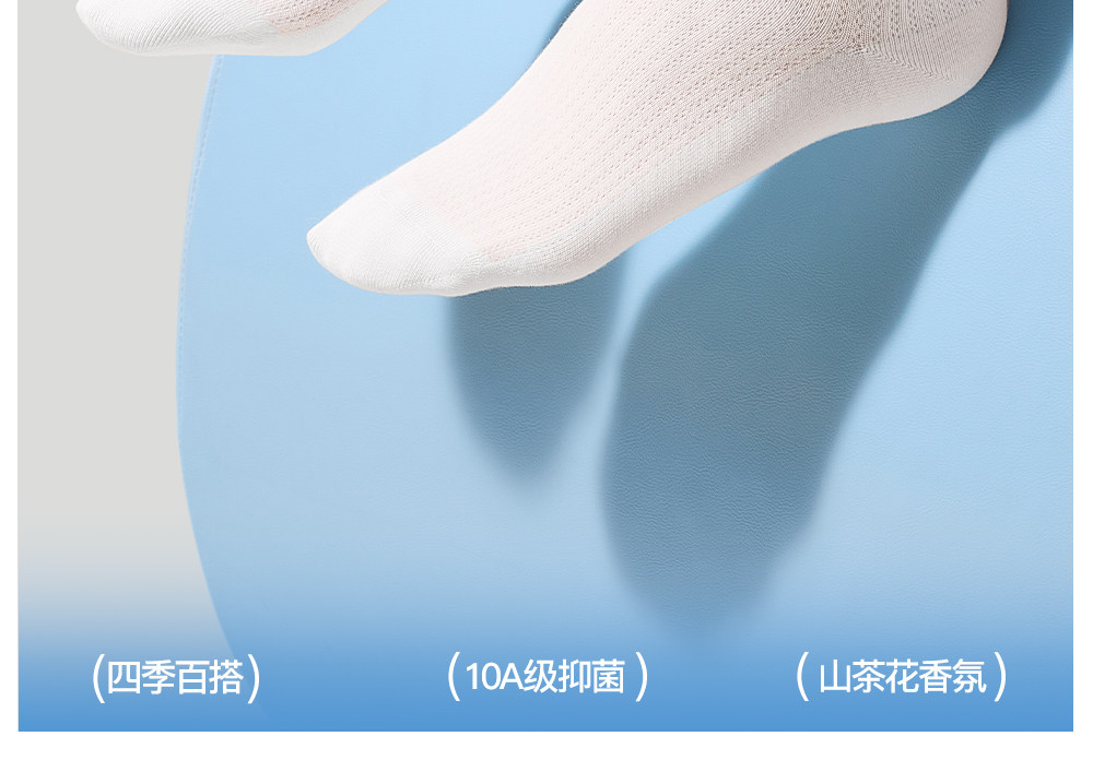 Secret World Mesh Ankle Socks