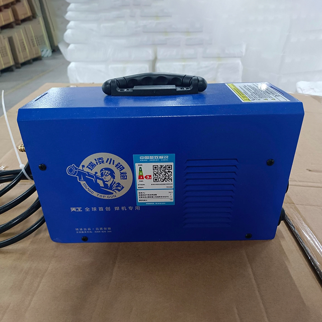 Slightly Defective Ruiling Tig200E Argon Arc Welding Machine, Small Household Welding Machine for Stainless Steel Doors, Windows, and Carports