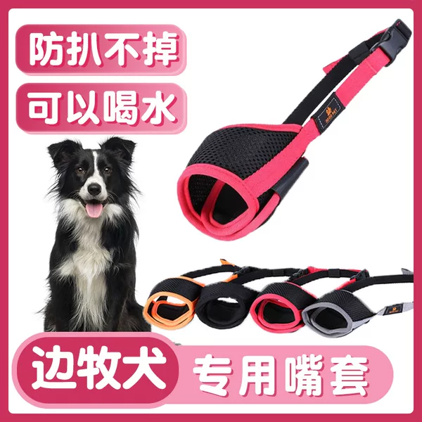 Товары от tb470939445173