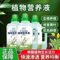 (Exclusive for fans) Plant Universal Concentrated Nutrient Solution Vegetables Fruits Flowers Tomatoes Cucumbers Money Tree Brazil