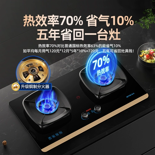 [Правительственная субсидия 20%] SENTAI T98 ИНТЕРСКАЯ ПЕТА, Горячий огонь, природная газа с двойной плитой сжиженный газовый газ