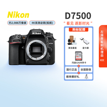 Nikon D7500 SLR camera professional entry-level digital d7500 travel high-definition novice photography kit home