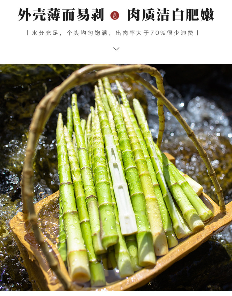 SGS认证,0残留,现采现发:4.5斤 湘浓情 湖南永州野生小山笋竹笋 28.8元顺丰包邮 值值值-买手聚集的地方