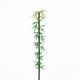 Simulated Mini Bamboo, Green Bamboo, Micro-Landscape, Bonsai, Succulent, Red Panda Decoration, DIY Small Ornaments