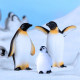 Miniature Simulated Polar Bear, Penguin, Seal, Glacier Micro-Landscape Decoration Children's Desktop Small Ornaments Decoration Materials