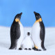 Miniature Simulated Polar Bear, Penguin, Seal, Glacier Micro-Landscape Decoration Children's Desktop Small Ornaments Decoration Materials