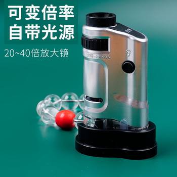 Portable hand-held device with variable magnification and light for identifying porcelain coins