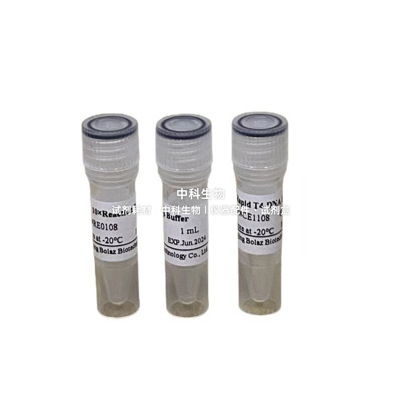 BOLAZ Rapid T4 DNA Ligase 可催化平齐末端或粘性末端之间的连接