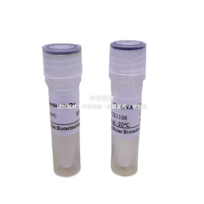 BOLAZ T4 DNA Ligase 适用标记RNA3'-末端/环化RNA和DNA/克隆cDNA