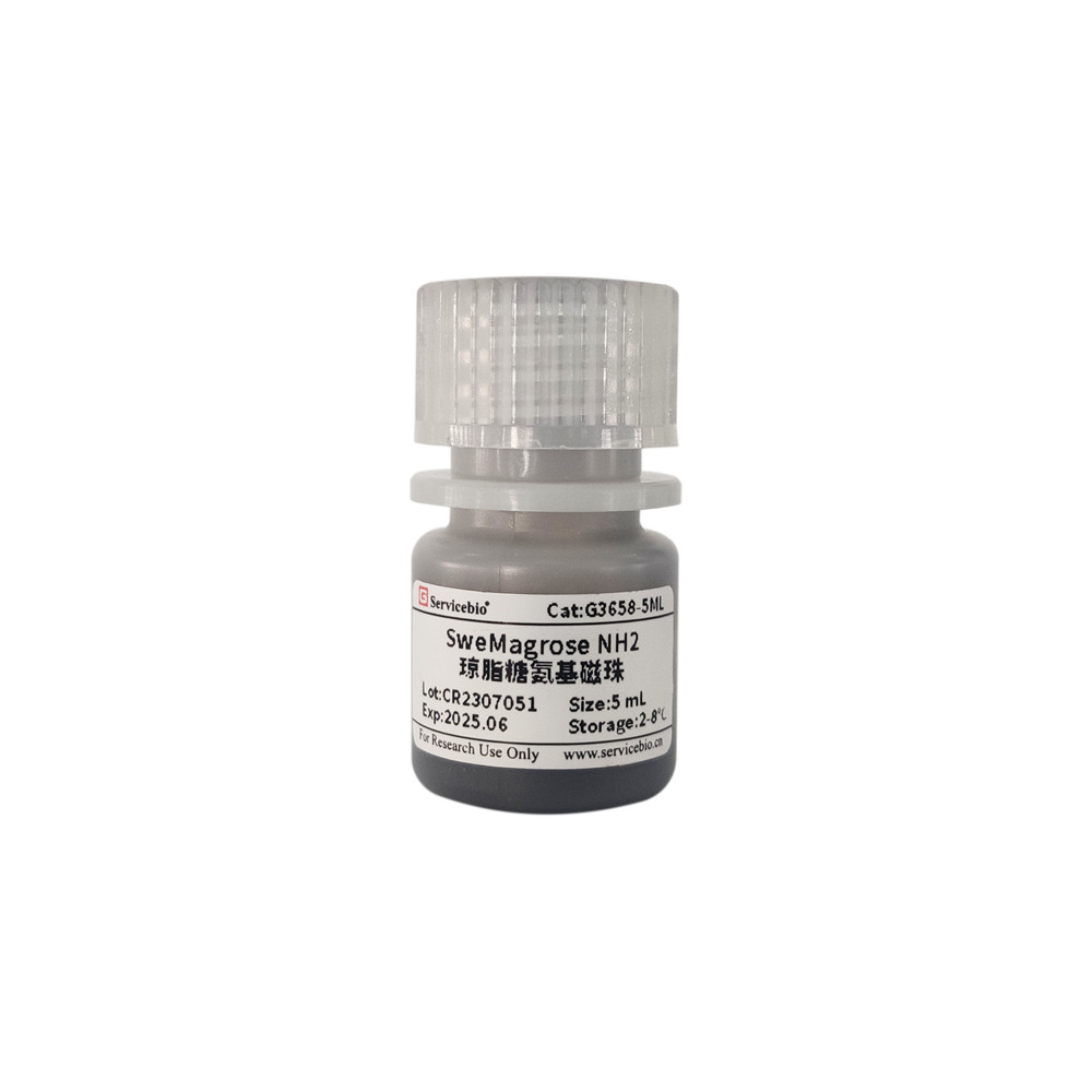 Servicebio琼脂糖氨基磁珠（SweMagrose NH2）1mL5mL高载量结合
