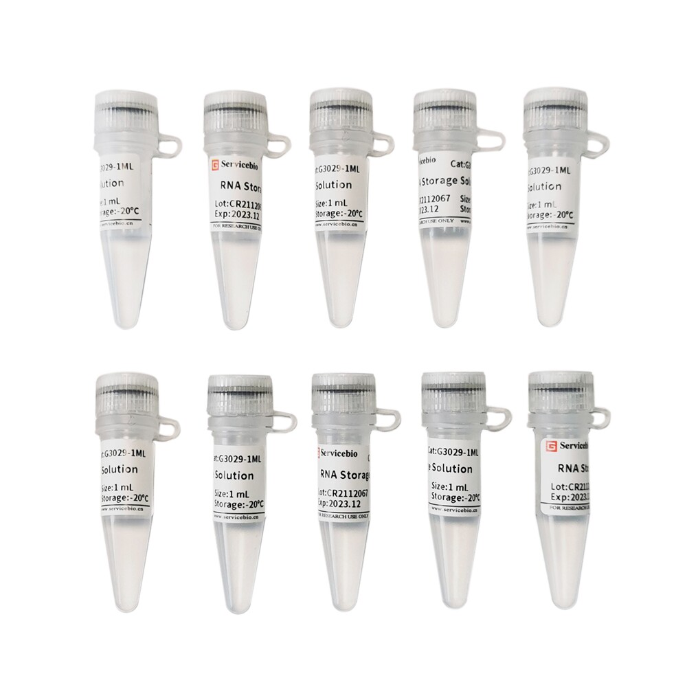 Servicebio RNA溶解液(普通型)用于溶解和洗脱RNA沉淀逆/体外转录