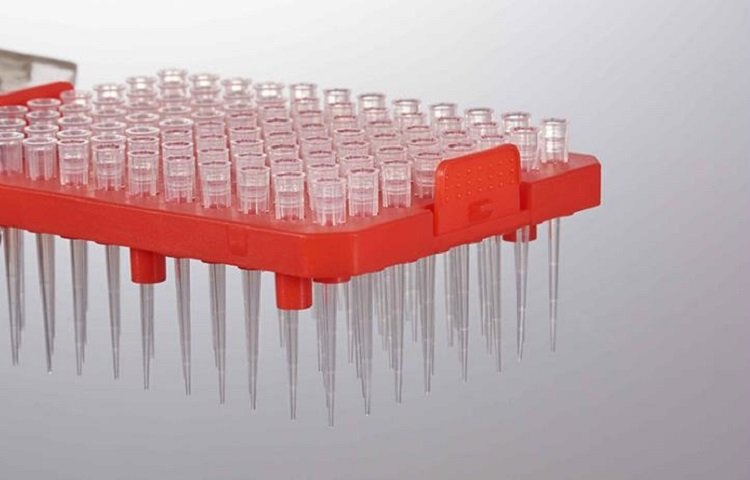 JET/洁特 10&mu;l微量吸头 带滤芯 新盒装 本色 无DNA/RNA酶 灭菌