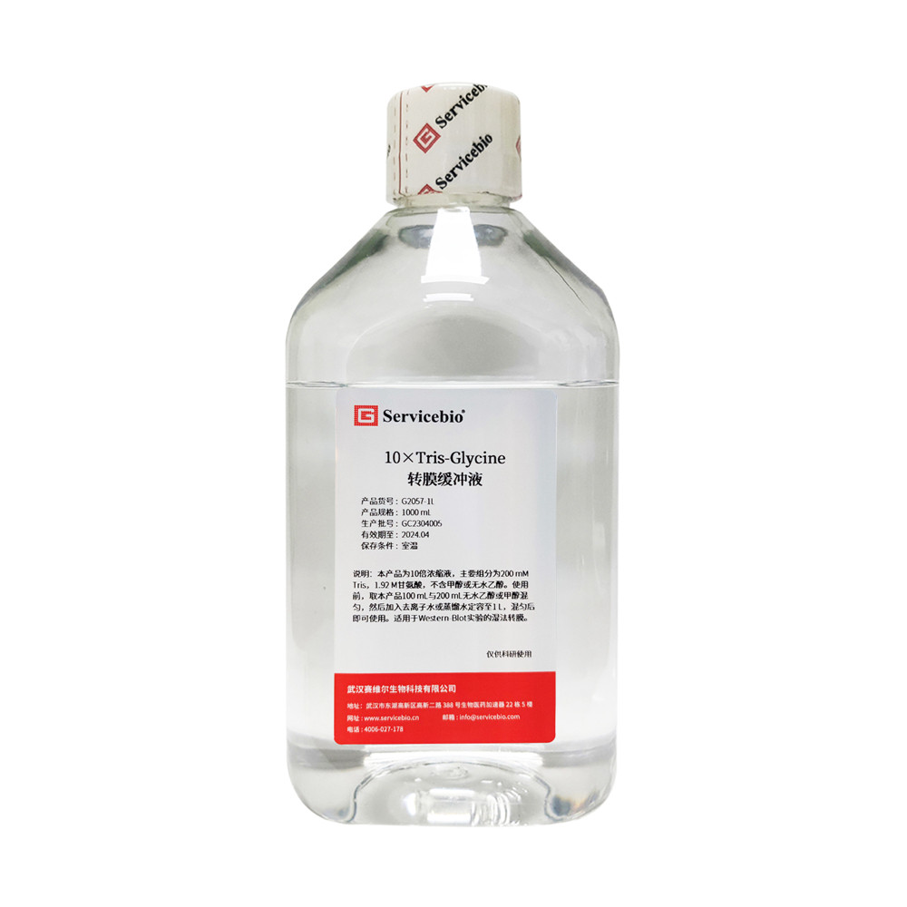 Servicebio  10&times;Tris-Glycine转膜缓冲液，10&times;浓缩液，G2057-1L