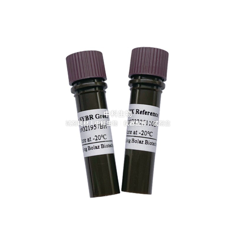 BOLAZ 2&times;SYBR Green qPCR预混液(含100&times;ROX)用于嵌合荧光法qPCR