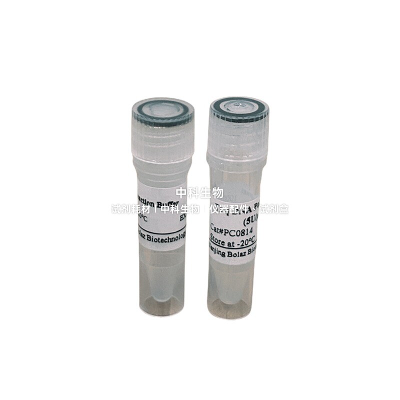 BOLAZ Taq DNA聚合酶 具有5'&rarr; 3'聚合酶活性和5'&rarr; 3'外切酶活性