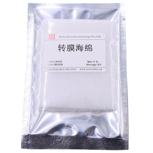 Servicebio转膜海绵7&times;9cm用于WB中蛋白转膜支撑作用搭配转膜滤纸
