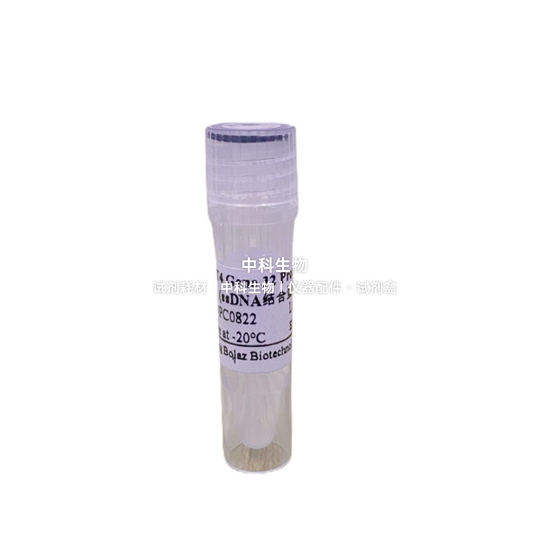 BOLAZ T4 Gene 32蛋白(ssDNA结合蛋白) T4 gp32蛋白 提高酶活性